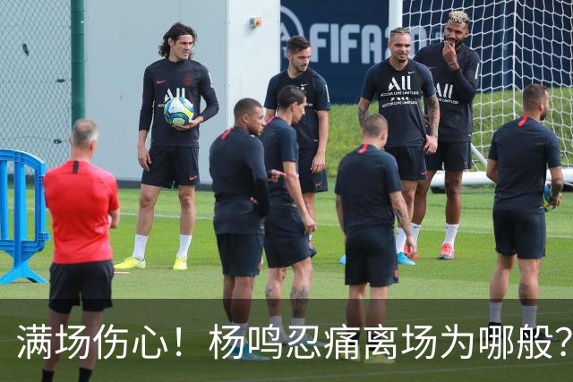 满场伤心！杨鸣忍痛离场为哪般？